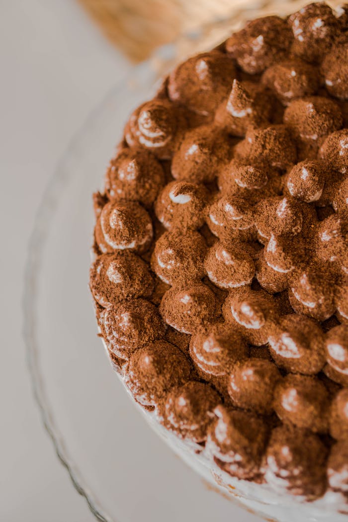 Delicious chocolate cake with cocoa dusting, perfect for dessert lovers.